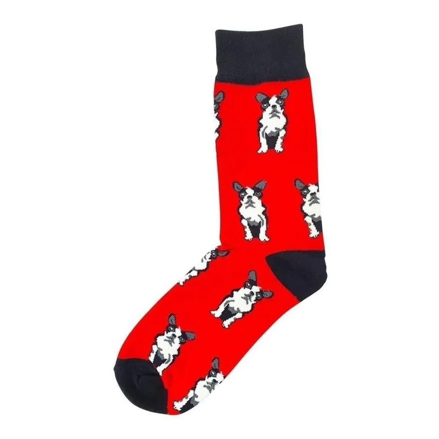 Animal Lover Socks Bundle 2.0