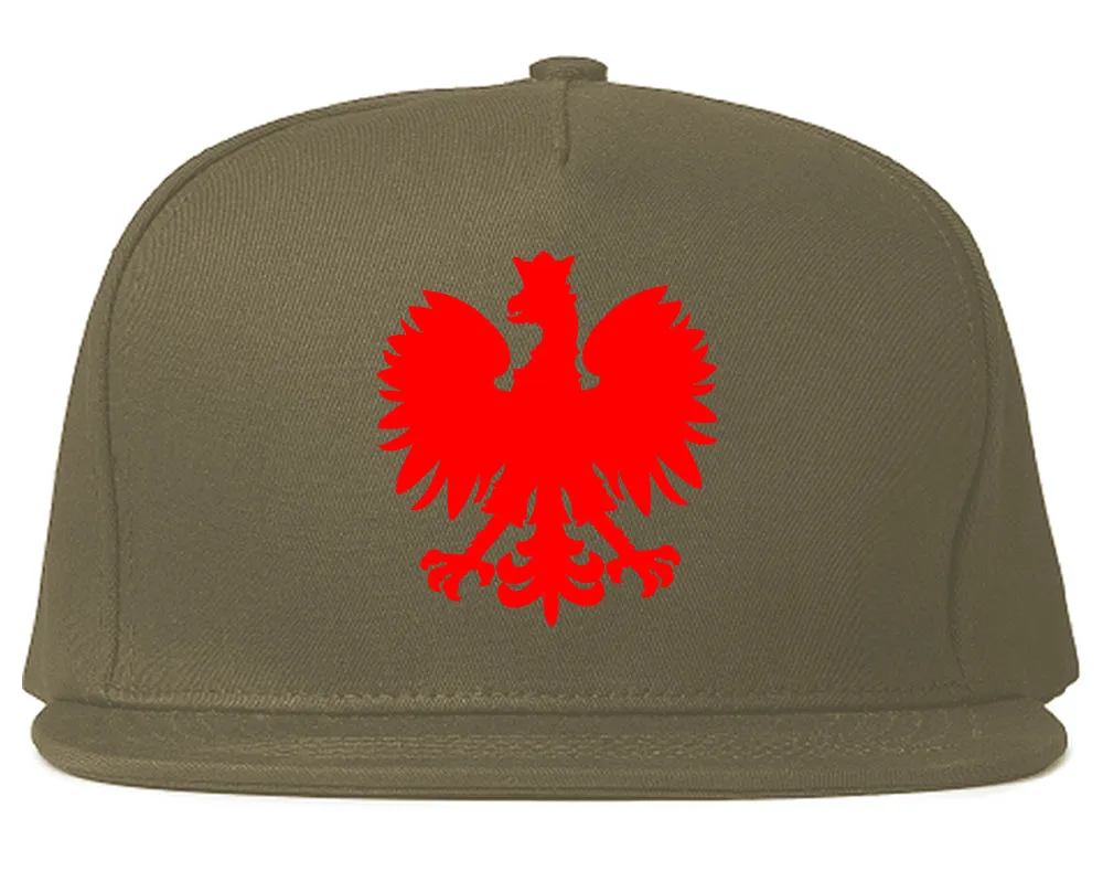 Poland Eagle Polish Pride Polska Big Mens Snapback Hat